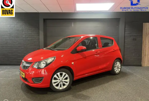 1.0 ecoFLEX 120 Jaar Edition|Airco|Cruise|1e Eig