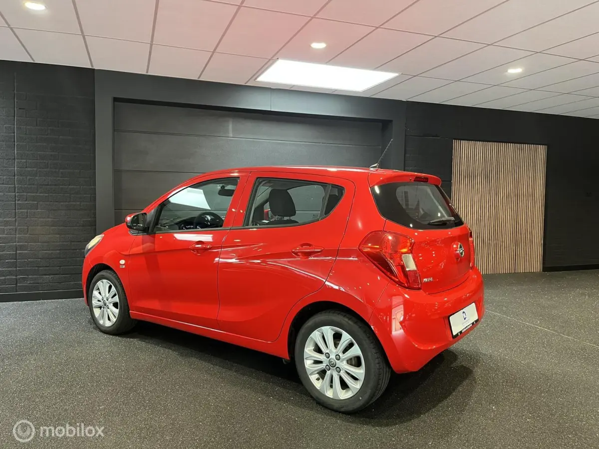 1.0 ecoFLEX 120 Jaar Edition|Airco|Cruise|1e Eig