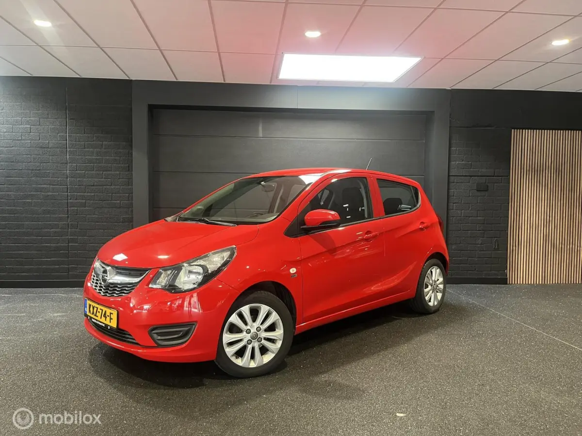 1.0 ecoFLEX 120 Jaar Edition|Airco|Cruise|1e Eig