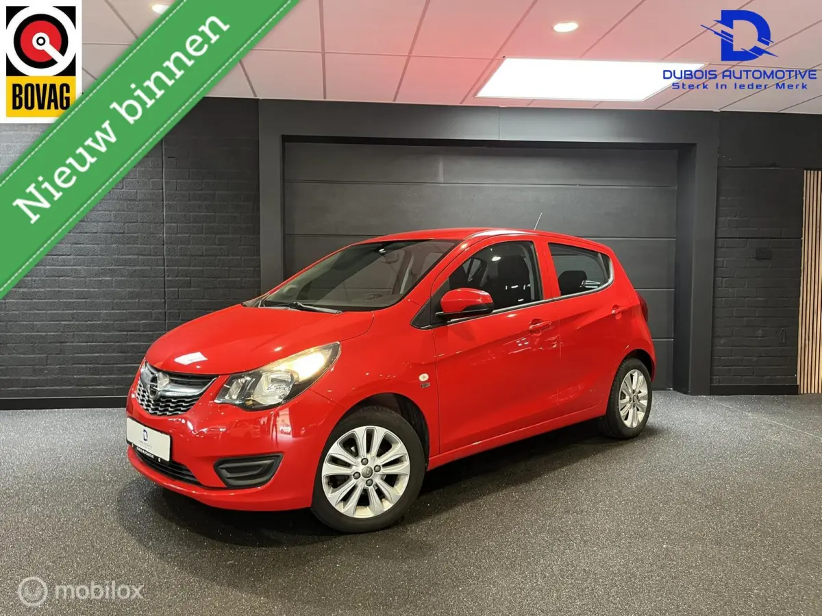 1.0 ecoFLEX 120 Jaar Edition|Airco|Cruise|1e Eig