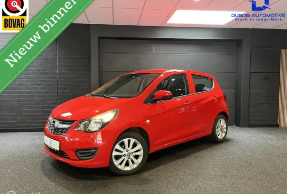 1.0 ecoFLEX 120 Jaar Edition|Airco|Cruise|1e Eig