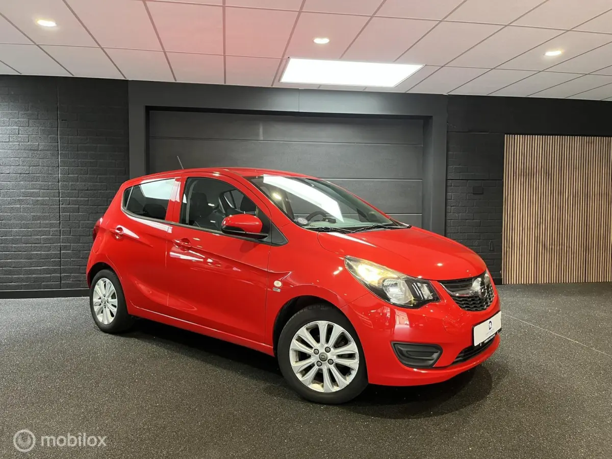 1.0 ecoFLEX 120 Jaar Edition|Airco|Cruise|1e Eig