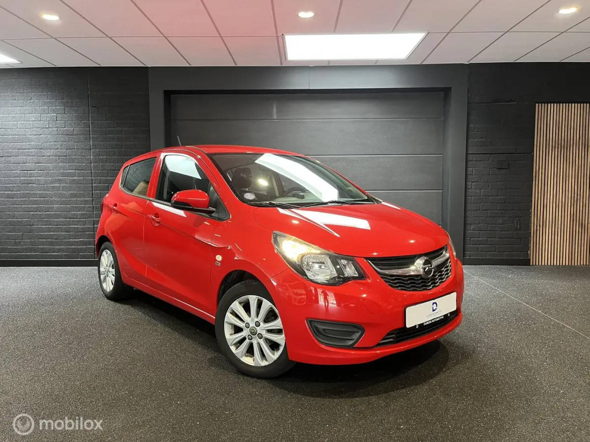 1.0 ecoFLEX 120 Jaar Edition|Airco|Cruise|1e Eig