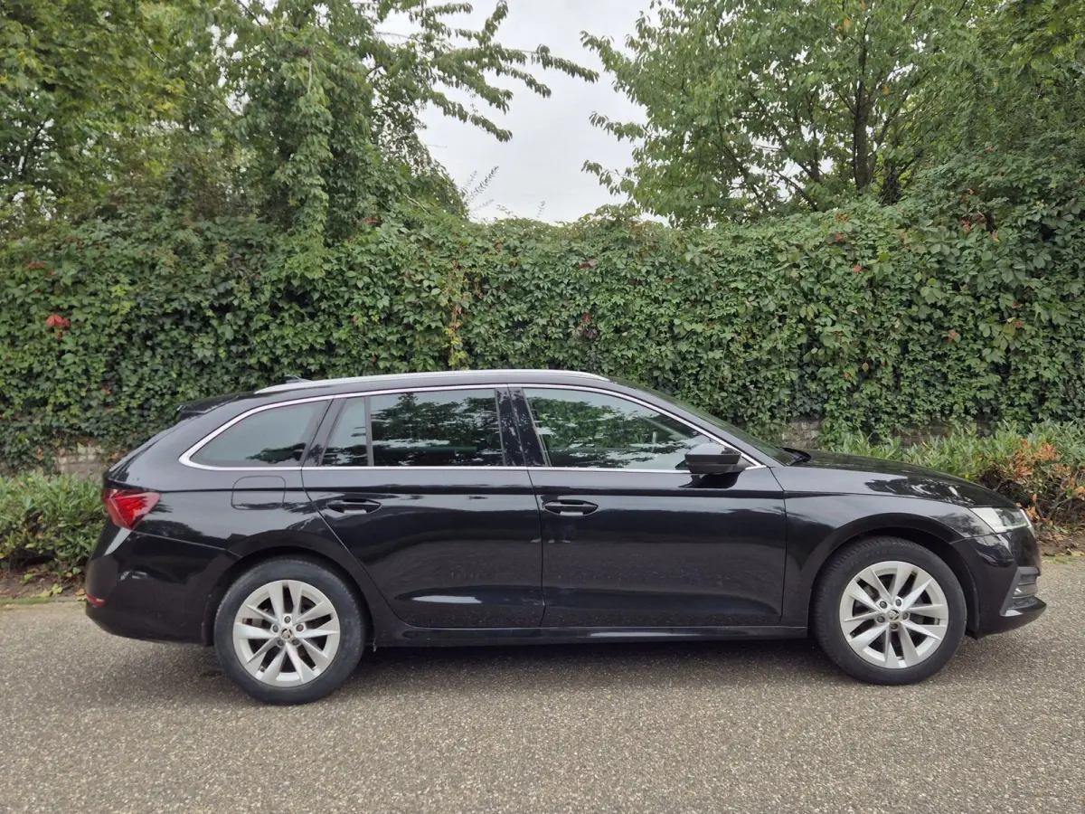 e-TSI Business Edition Automaat CarPlay ACC Adaptieve Cruise LED LM Velgen NAP 1.0 e-TSI Business Edition