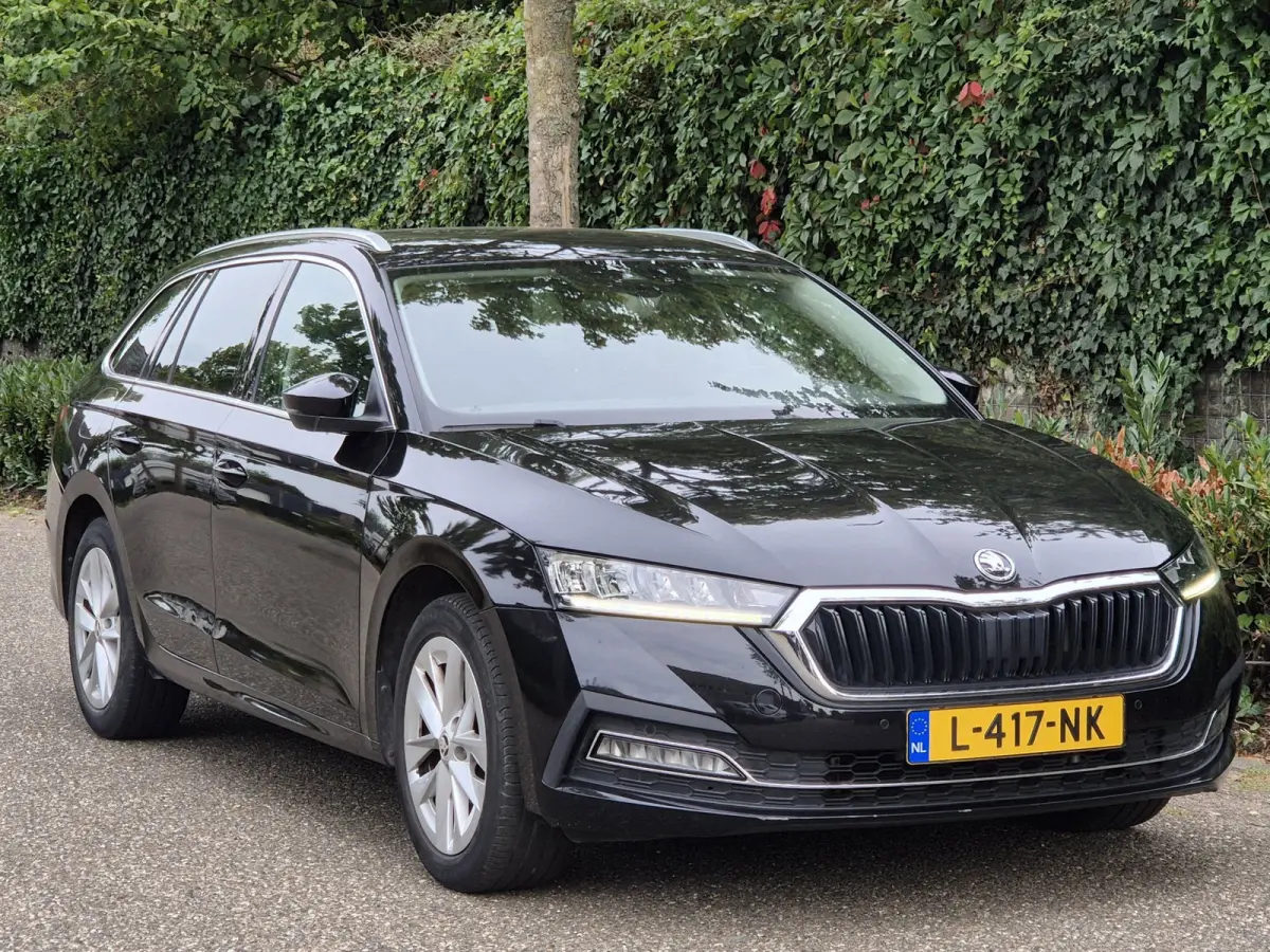 e-TSI Business Edition Automaat CarPlay ACC Adaptieve Cruise LED LM Velgen NAP 1.0 e-TSI Business Edition