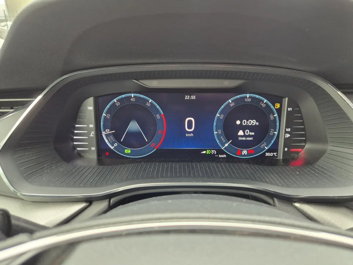 e-TSI Business Edition Automaat CarPlay ACC Adaptieve Cruise LED LM Velgen NAP 1.0 e-TSI Business Edition