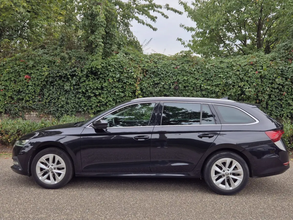 e-TSI Business Edition Automaat CarPlay ACC Adaptieve Cruise LED LM Velgen NAP 1.0 e-TSI Business Edition