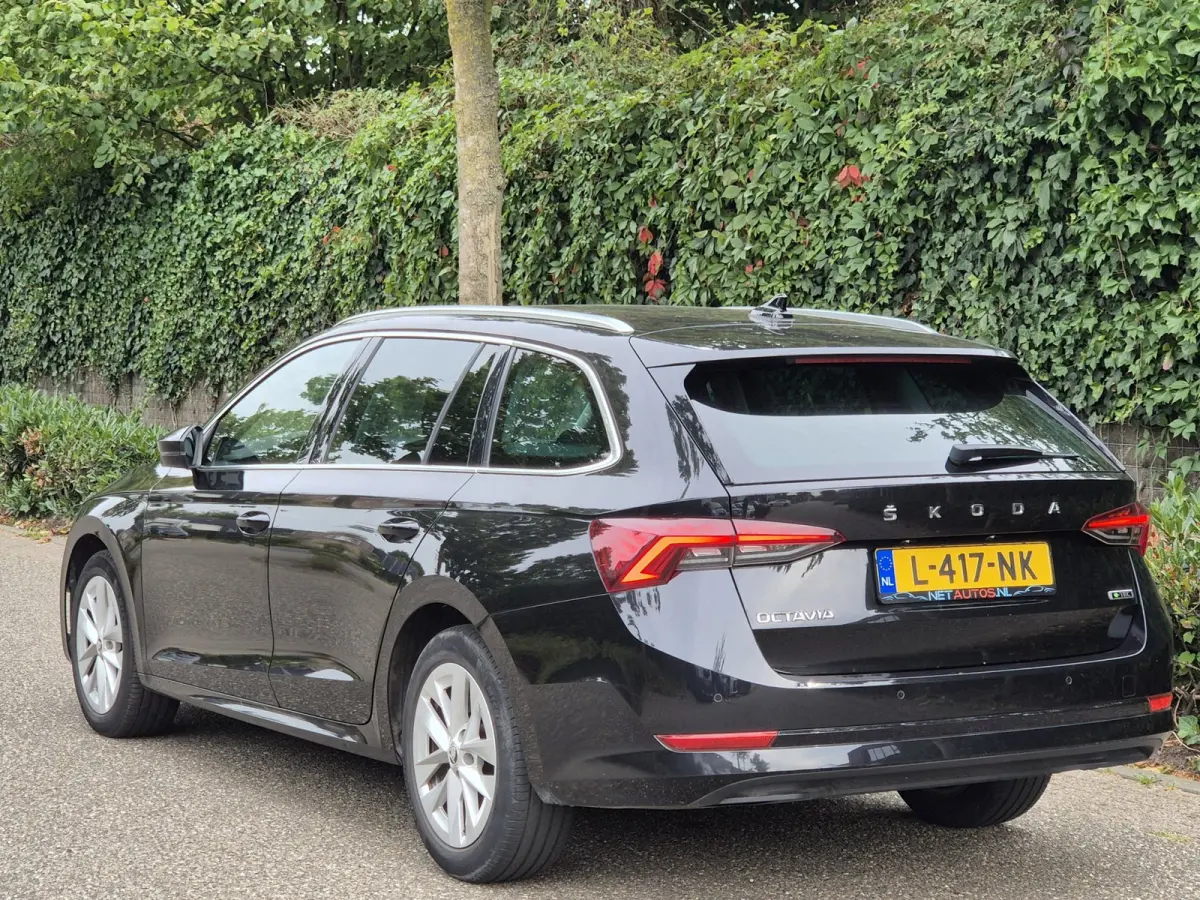 e-TSI Business Edition Automaat CarPlay ACC Adaptieve Cruise LED LM Velgen NAP 1.0 e-TSI Business Edition