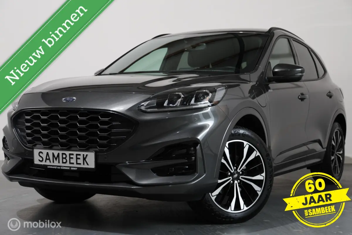 2.5 PHEV ST-Line - Stuur/Stoelverwarming - Carplay - Camera