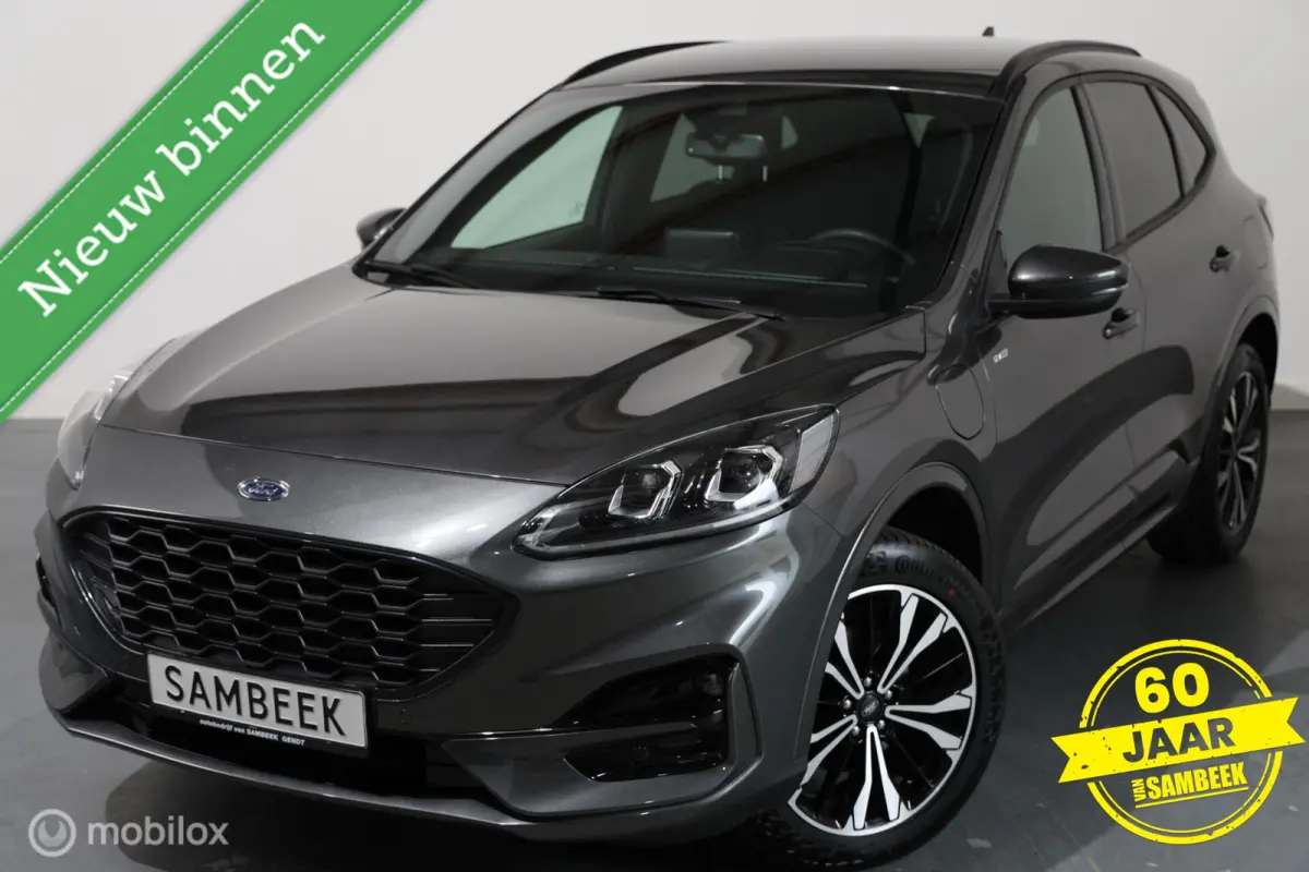 2.5 PHEV ST-Line - Stuur/Stoelverwarming - Carplay - Camera
