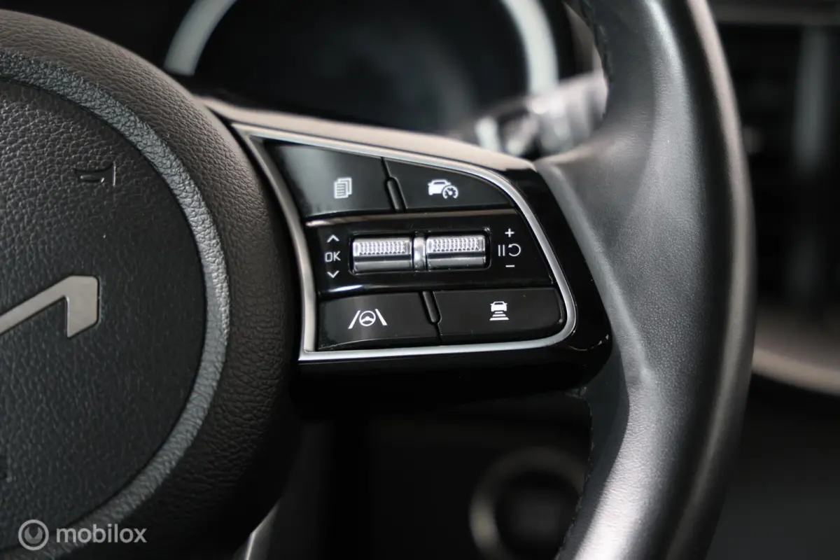 1.6 GDI PHEV DynamicLine - Stuur/Stoelverwarming - Carplay - Camera