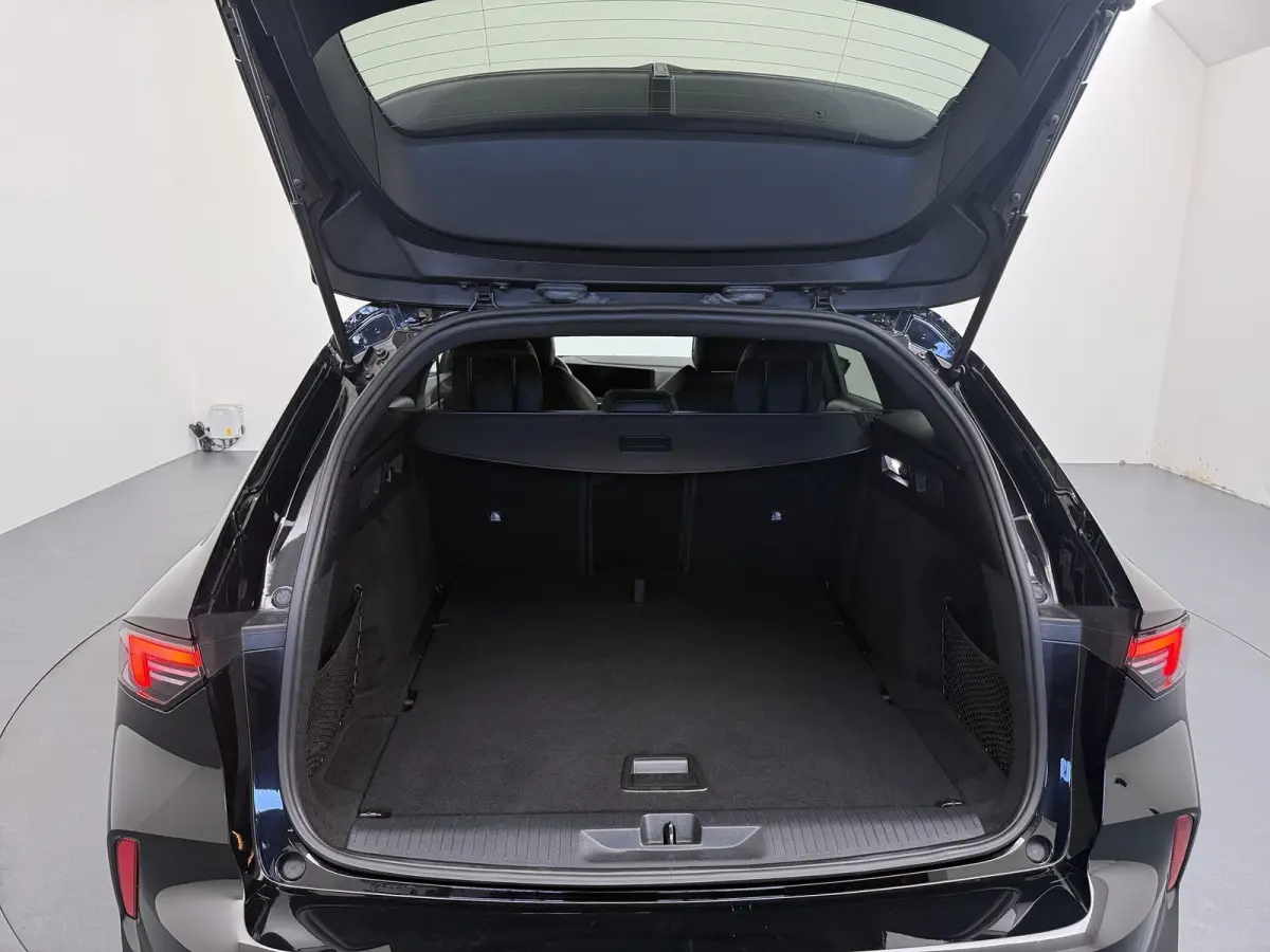 1.2 Turbo GS Trekhaak | All-seasons | Apple Carplay/Android Auto|telefoonintegratie premium | Cruise control adaptief met Stop&Go | Electronic climate controle