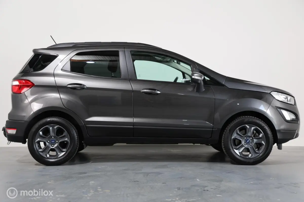 1.0 EcoBoost Titanium - Trekhaak - Carplay - Cruise control