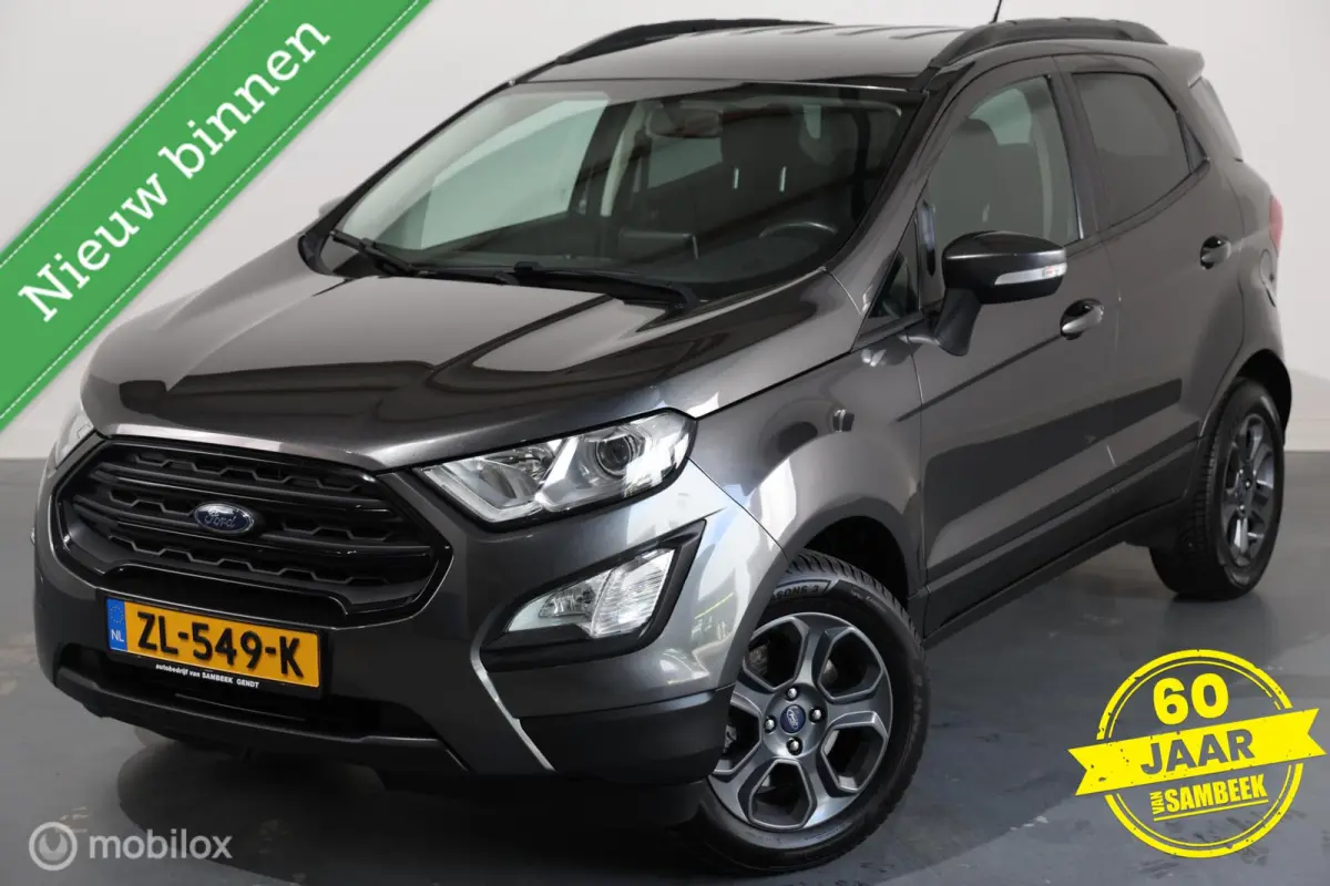 1.0 EcoBoost Titanium - Trekhaak - Carplay - Cruise control