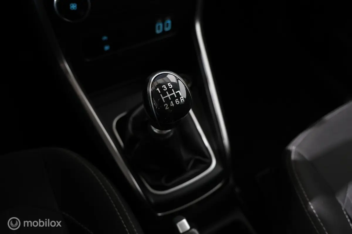 1.0 EcoBoost Titanium - Trekhaak - Carplay - Cruise control