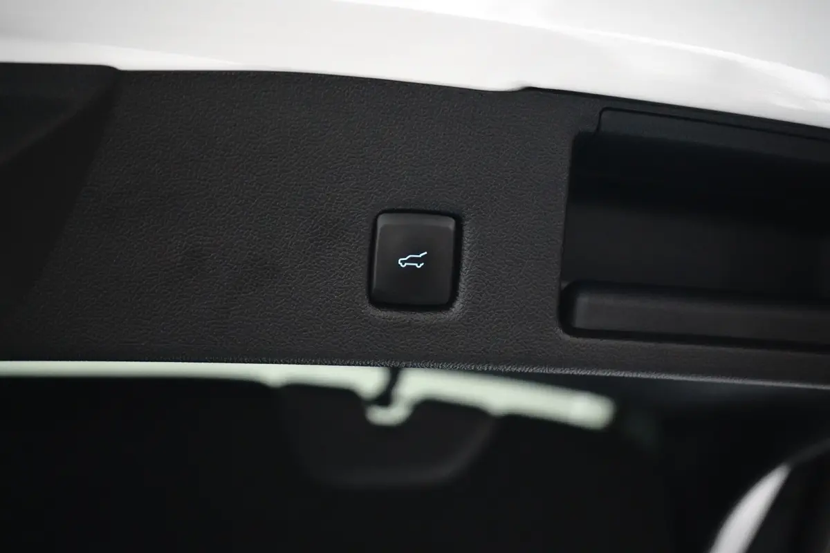 2.5 PHEV ST-Line X | Black Pack | Winter Pakket |