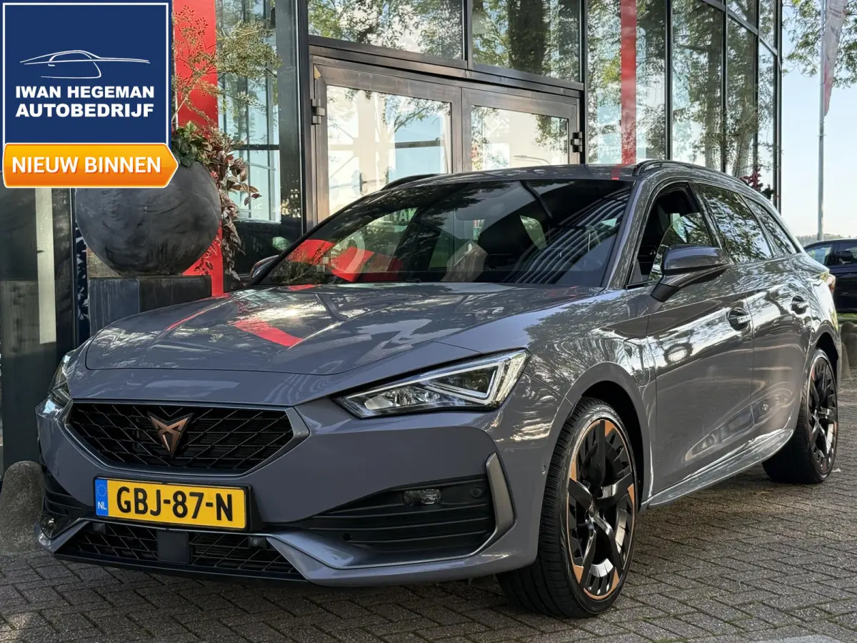 1.4 e-Hybrid VZ Adrenaline | SOH 94,93 % | PDC + Camera | Climate control | Apple CarPlay/ Android Auto | LM Velgen |