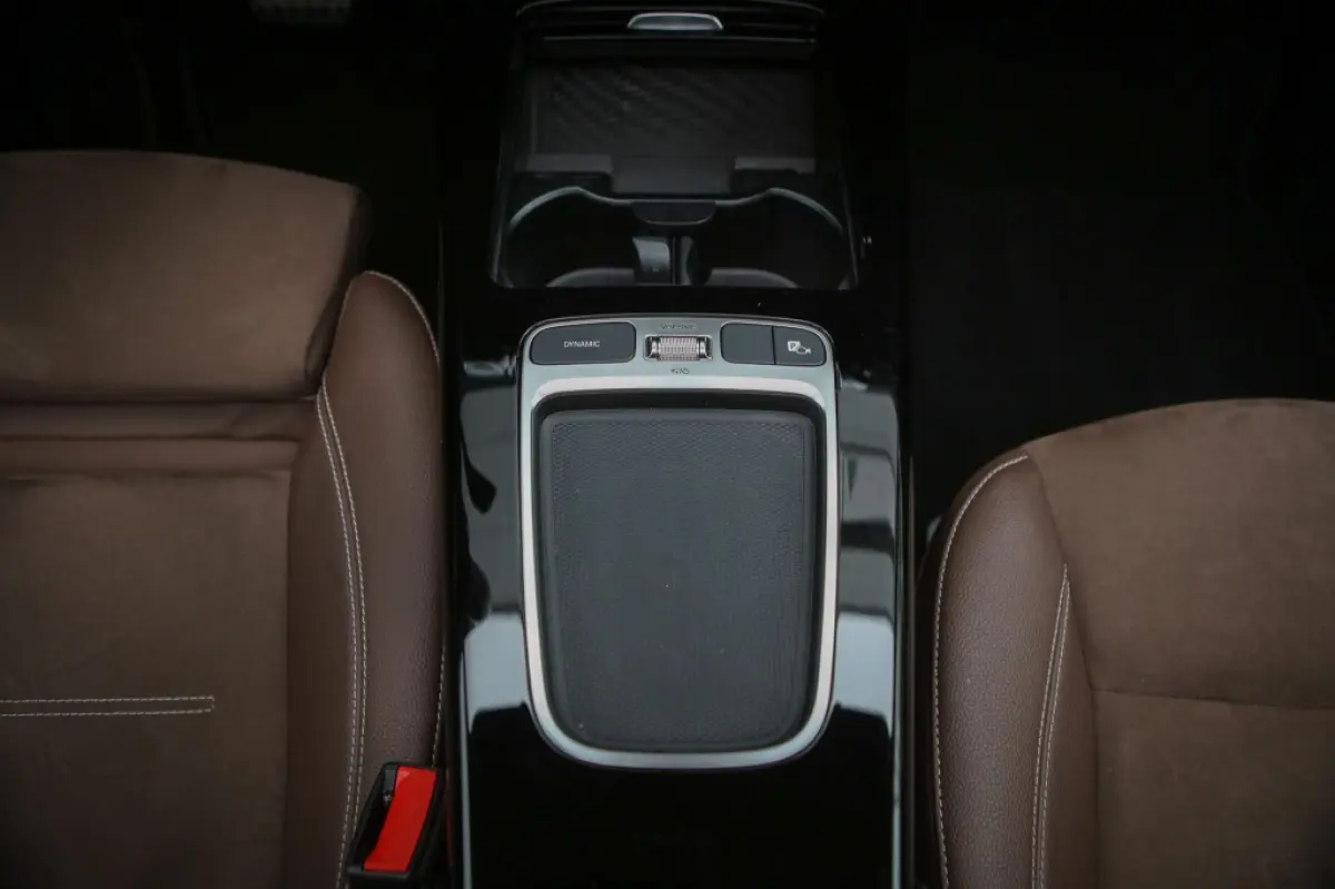 250e AMG | Pano | BTW | Sfeerverlichting |