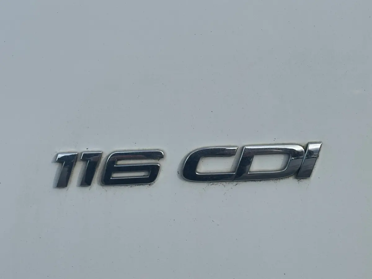116 CDI Lang CAMERA AUT TREKHAAK