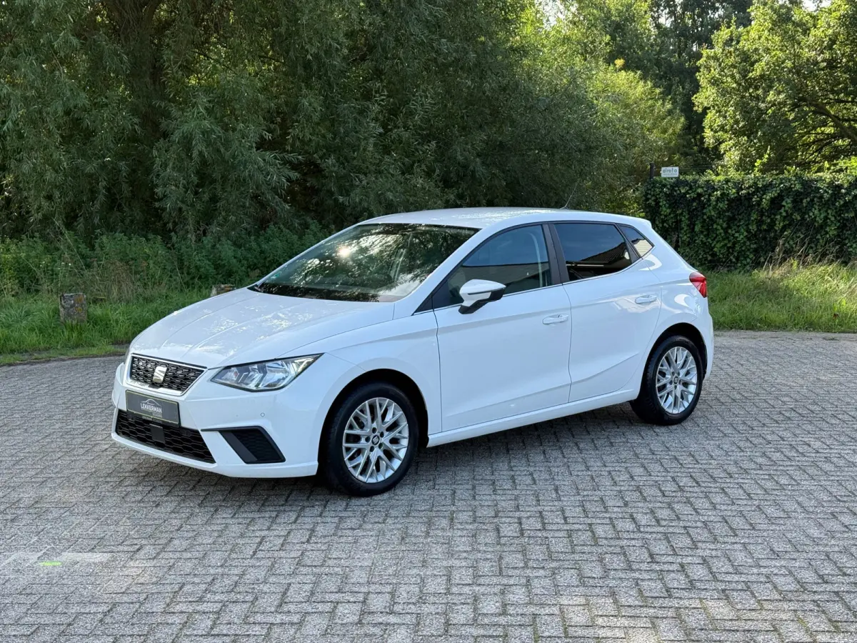 1.0 TSI Excellence CAMERA I PDC I CLIMA I STOELVERW I BLUETOOTH