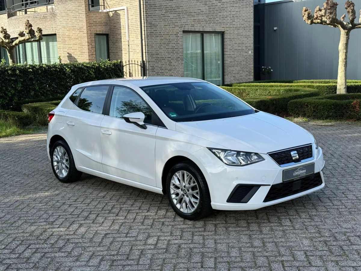 1.0 TSI Excellence CAMERA I PDC I CLIMA I STOELVERW I BLUETOOTH