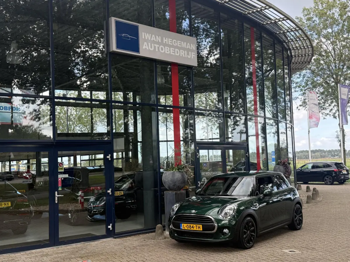 1.5 One Chili | Climate control | PDC | LM Velgen | Stoelverwarming |