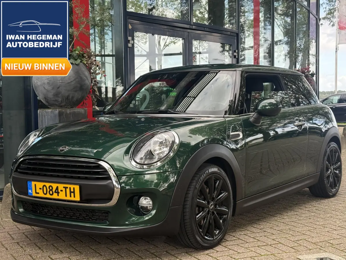 1.5 One Chili | Climate control | PDC | LM Velgen | Stoelverwarming |