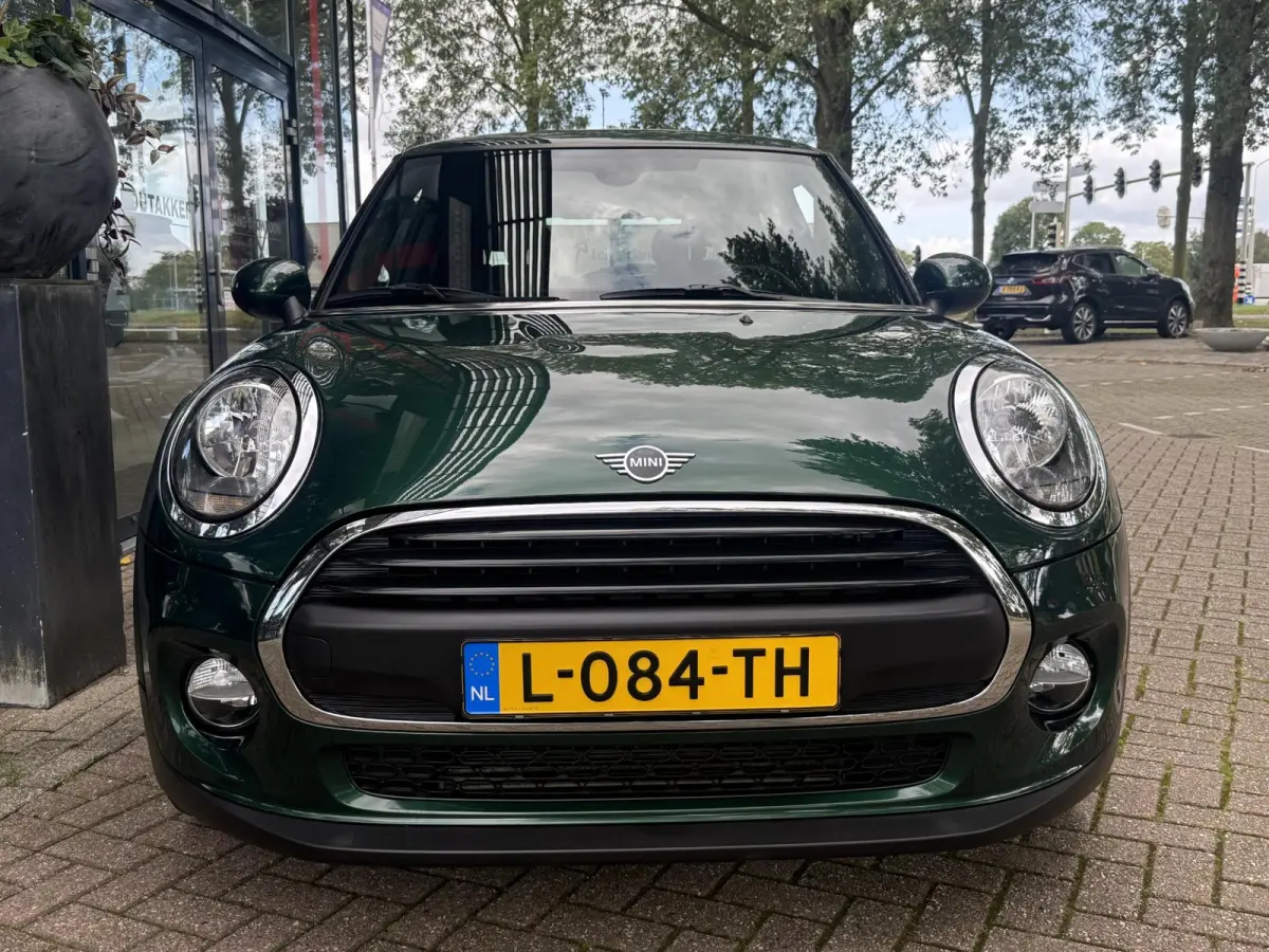 1.5 One Chili | Climate control | PDC | LM Velgen | Stoelverwarming |