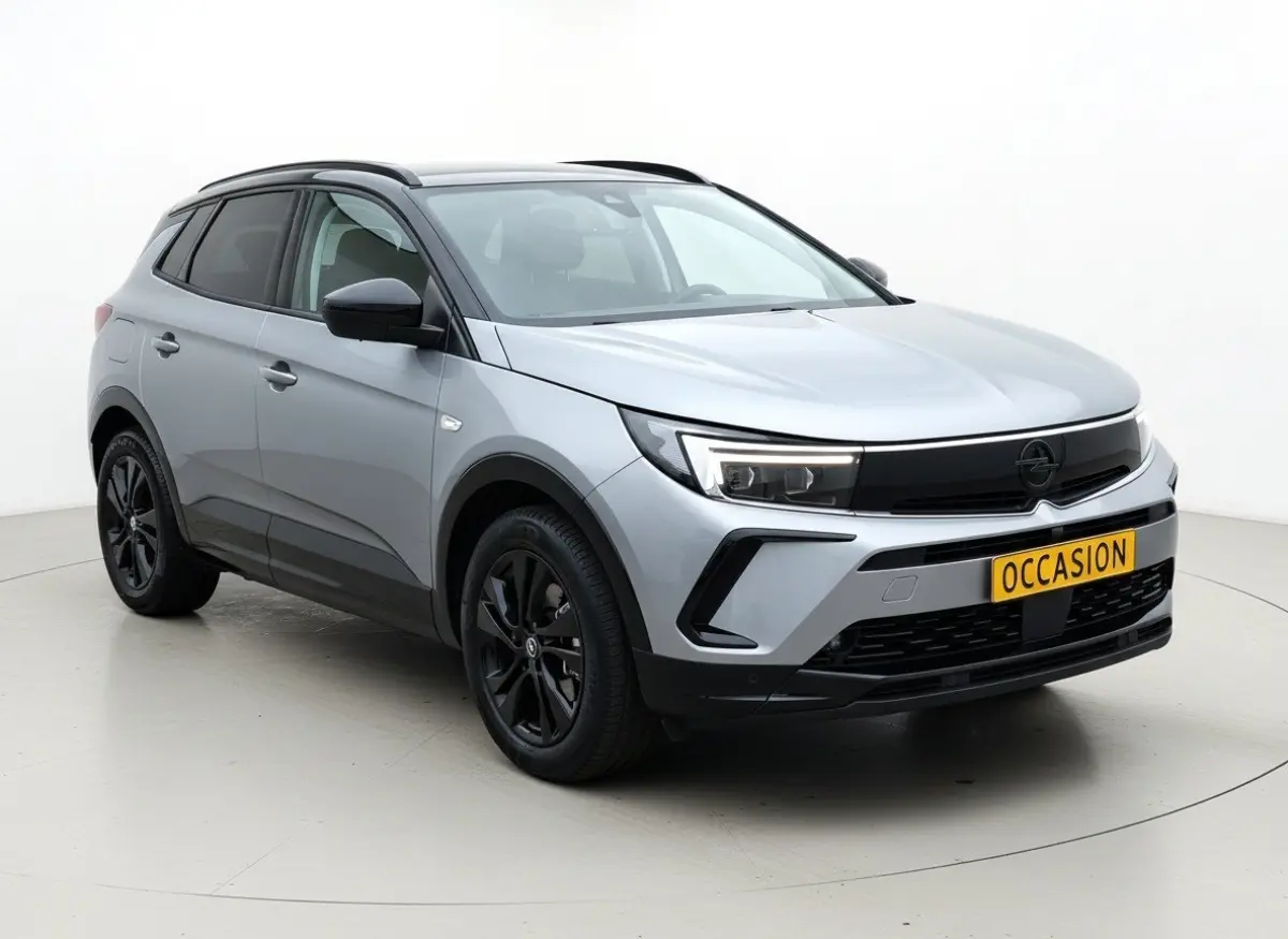 1.6 Turbo Plug-In Hybrid Business Edition | Navi | Winterpakket | Camera achter | Climate en cruise control | LED Koplampen |