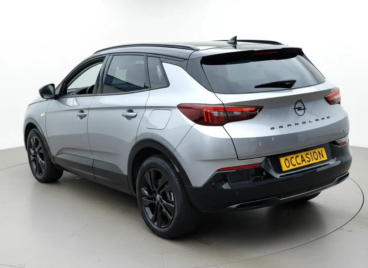 1.6 Turbo Plug-In Hybrid Business Edition | Navi | Winterpakket | Camera achter | Climate en cruise control | LED Koplampen |