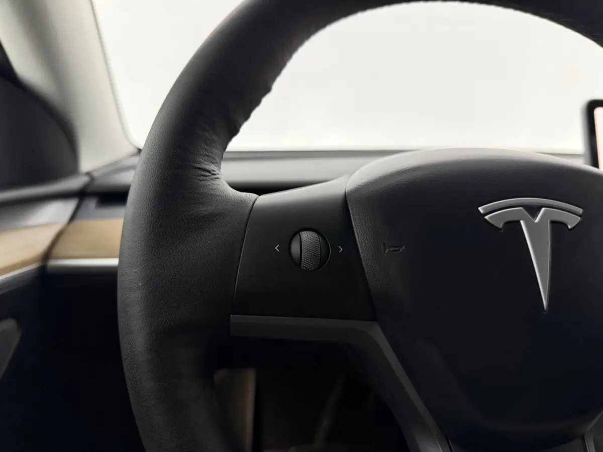 Long Range AWD 75 kWh | Snelladen | SOH 88% | Autopilot | Pano | Camera | Memory | Stoel/Stuurverw.