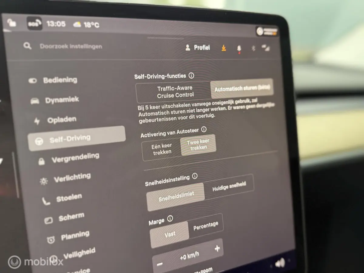 RWD 58 kWh LFP | SOH 90,7% MOBA | Supercharging | Ryzen | Warmtepomp
