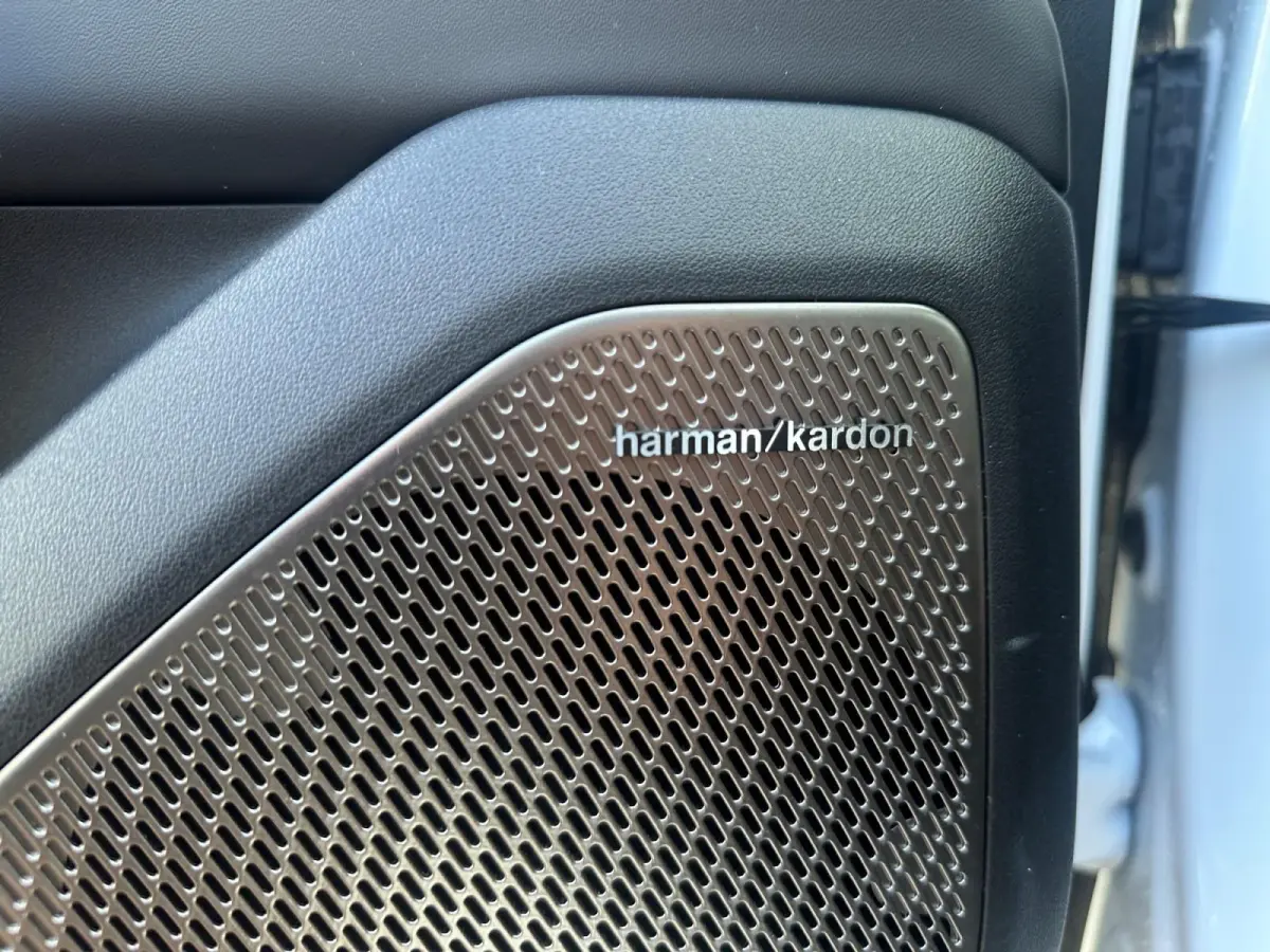 Plus Advanced 58.3 kWh | Harman Kardon | Lederen Bekleding | panorma Schuif/Kanteldak | fabrieksgarantie t/m 3-2033 + 3x 1 jaar