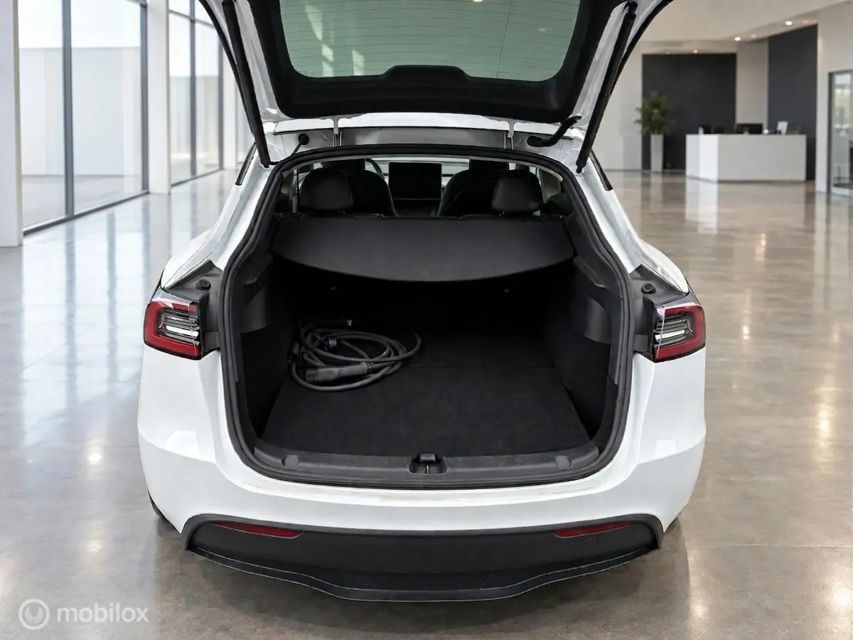 RWD 58 kWh LFP | SOH 88% MOBA | Supercharging | Ryzen | Warmtepomp