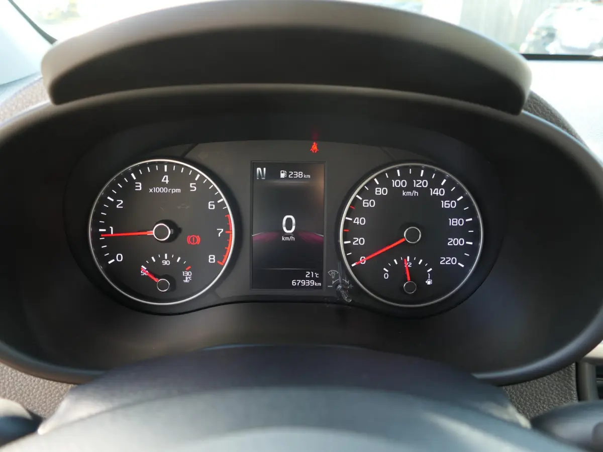 1.0 DPi DynamicLine | All-In | Automaat | Draadloos Apple-/Android Carplay | Achteruitrijcamera | Cruise Control | Airco | Origineel Nederlands