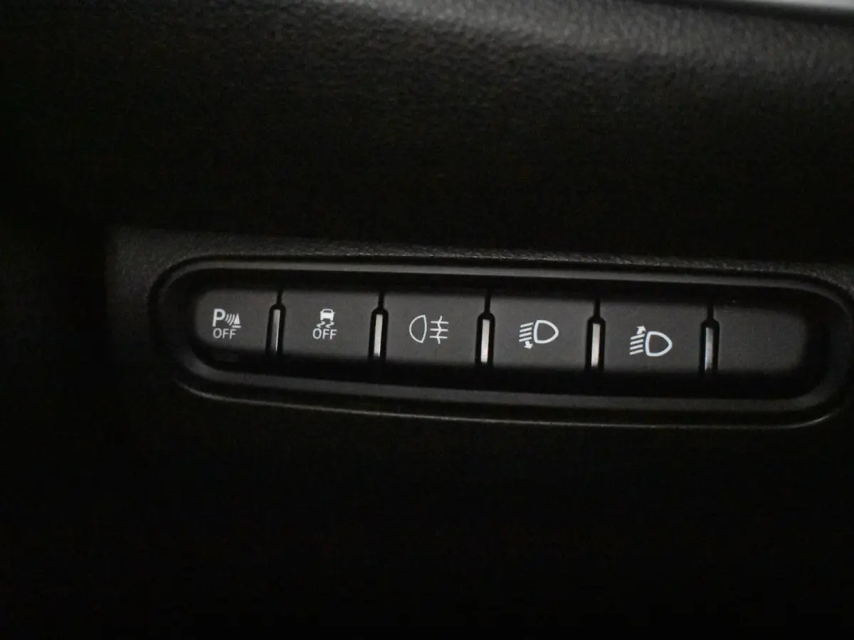 3+1 Icon 42 kWh l Pano Dak l Camera l 17" Velgen l Full LED Dagrij l Navigatie l Cr Control l Dodehoek Waarschuwing l