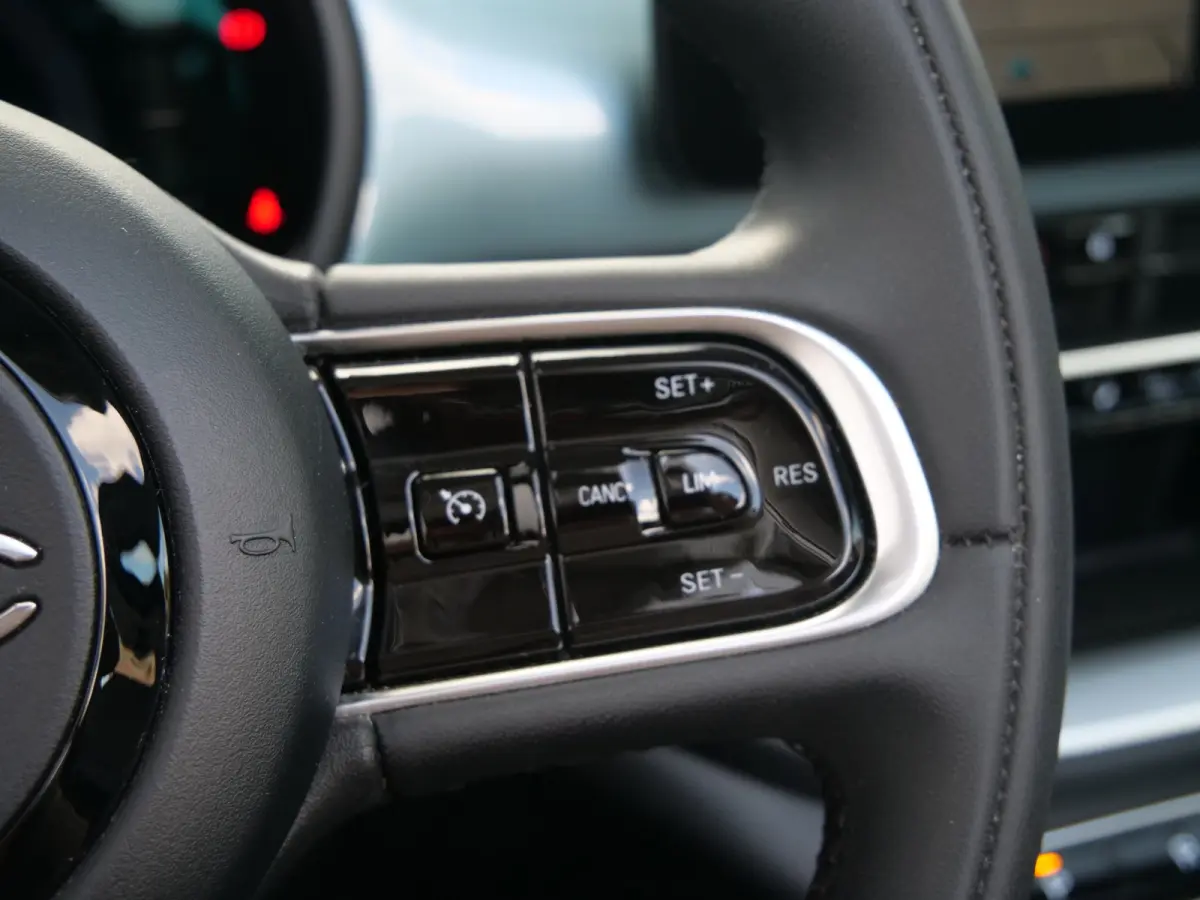 RED 42 kWh 118 Pk Automaat Navi / DAB / Apple Carplay / SOH 94,1 %