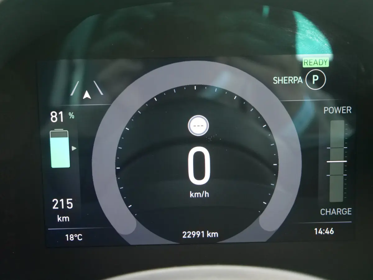 RED 42 kWh 118 Pk Automaat Navi / DAB / Apple Carplay / SOH 94,1 %