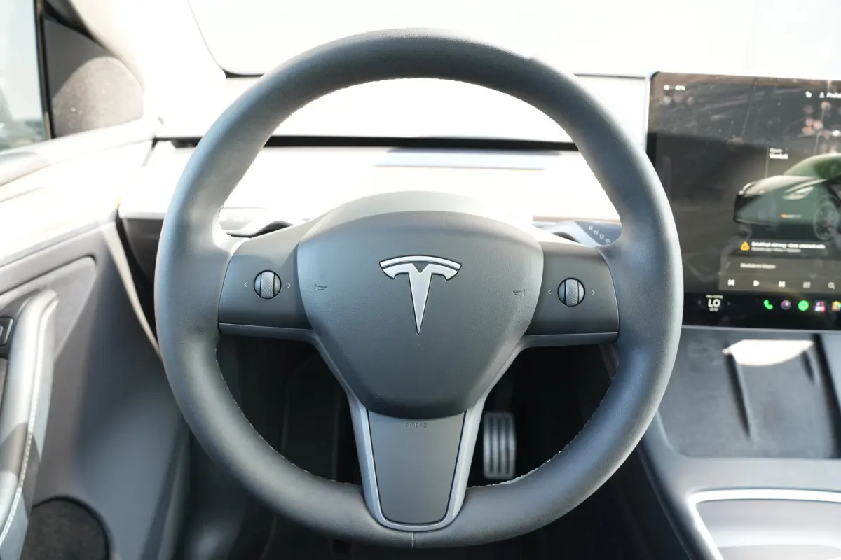 Performance 462pk AWD 75 kWh | Full Self Driving | 360 Camera | 21" | Panoramadak