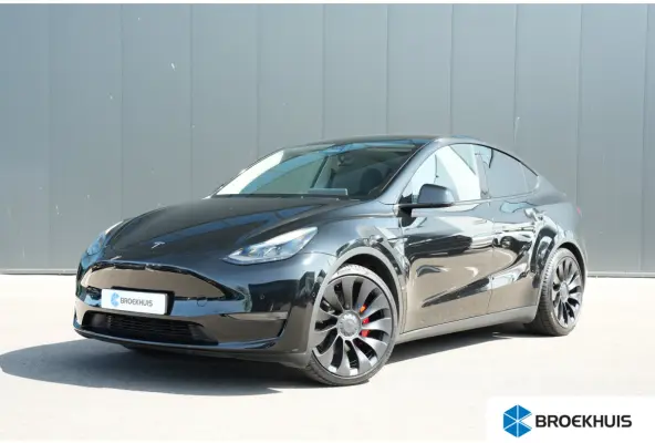 Performance 462pk AWD 75 kWh | Full Self Driving | 360 Camera | 21" | Panoramadak
