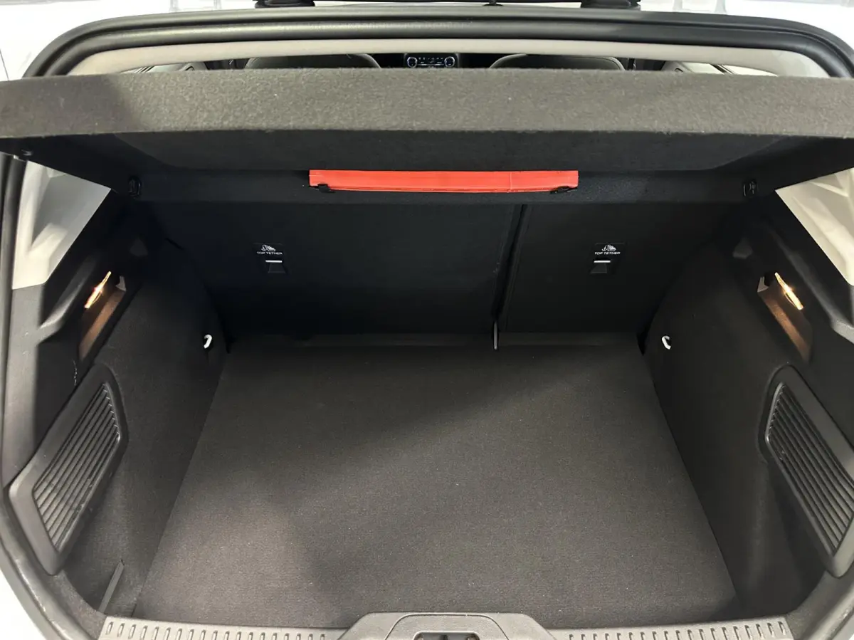 1.0 EcoBoost Titanium Business NAVI CRUISE LM ECC.