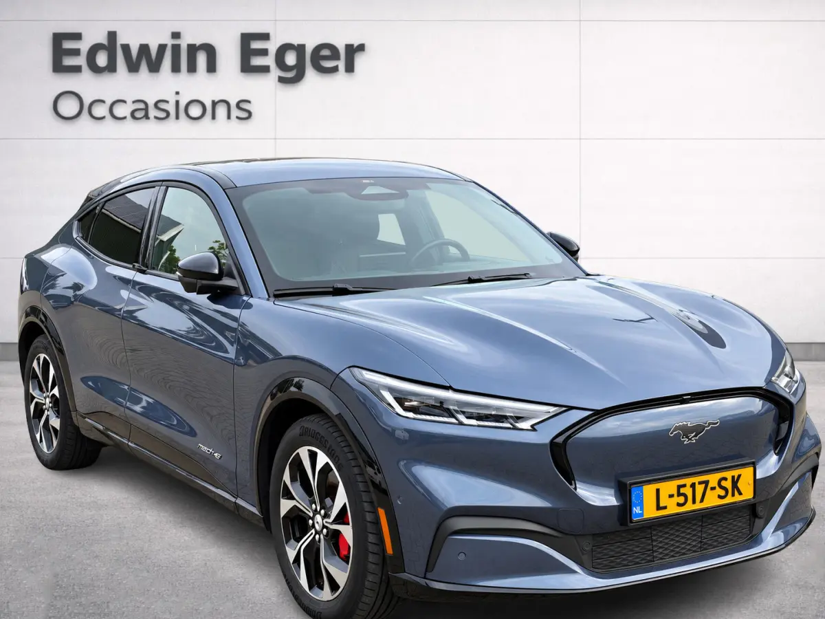 AWD 75 kWh | SOH 95.5 % | Trekhaak afn. | Ad cruise | Navi | Led | NL-auto