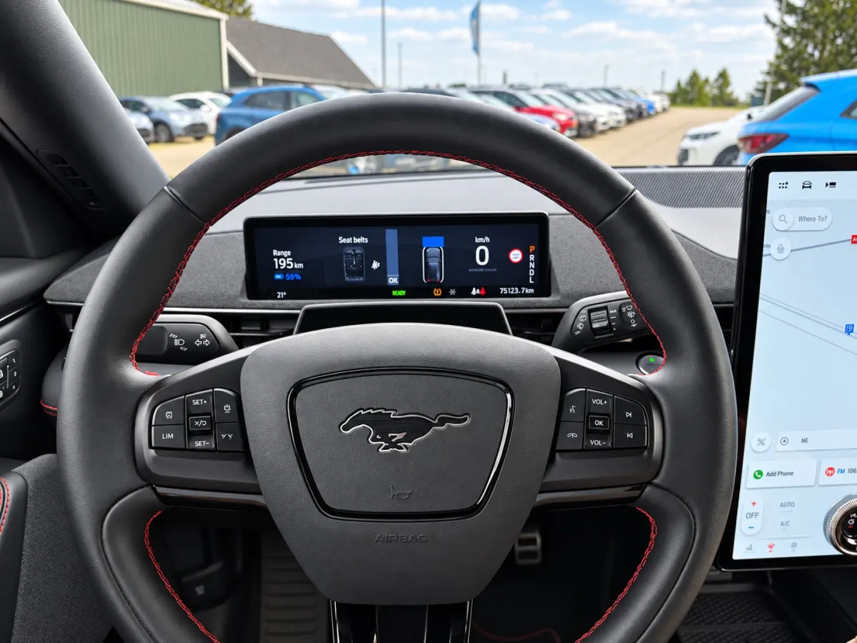 AWD 75 kWh | SOH 95.5 % | Trekhaak afn. | Ad cruise | Navi | Led | NL-auto