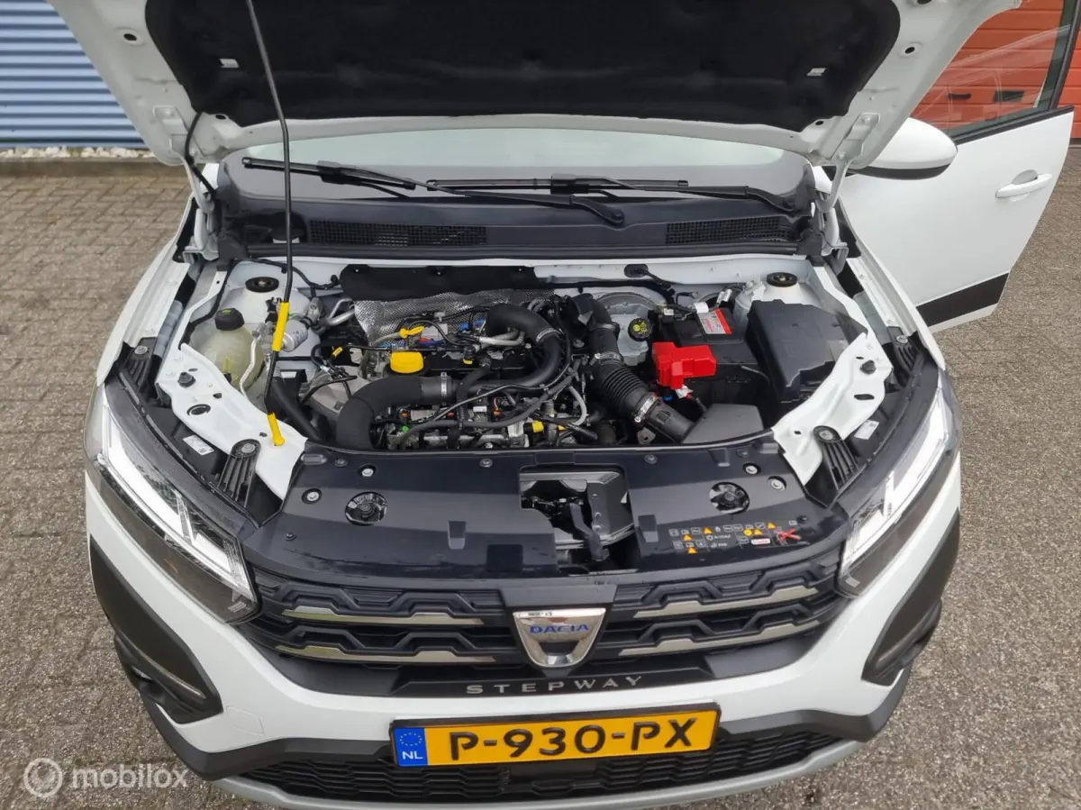 1.0 TCe 100 Bi-Fuel . Fabrieksaf LPG