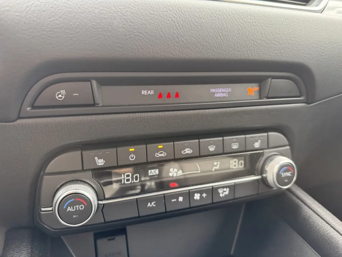 2.0 SAG 165 Advantage | HUD | 360 Camera | Keyless