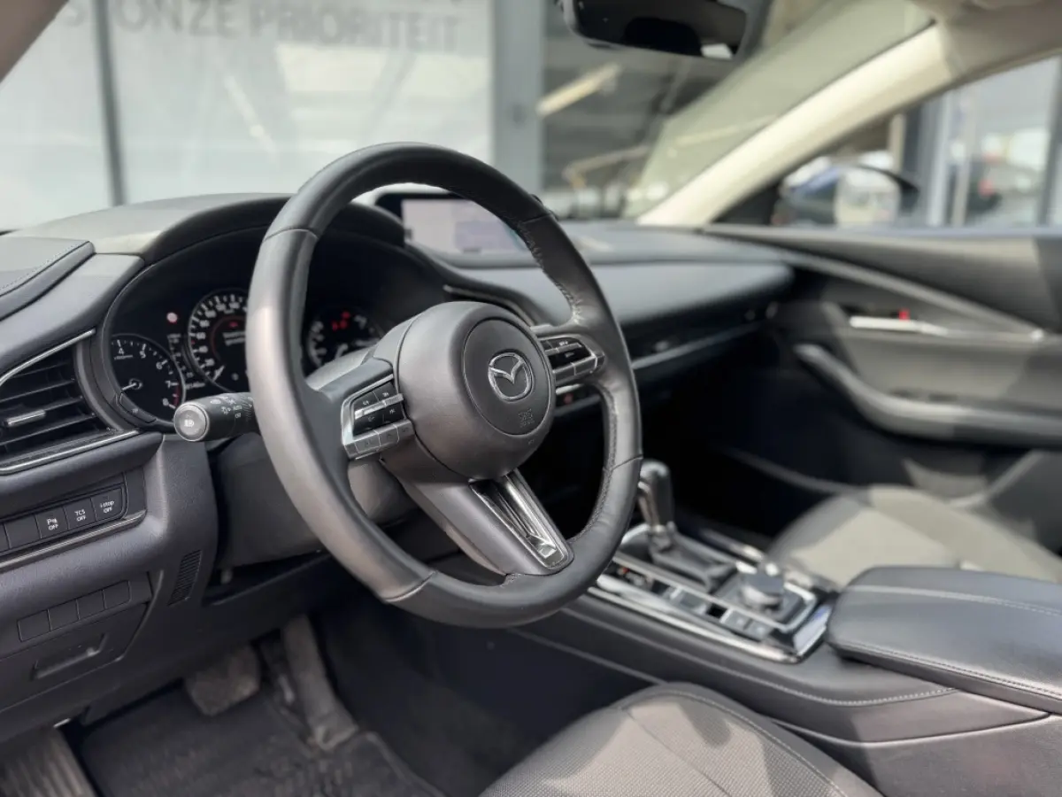 2.0 eSA-G Sportive 150PK | Stoel & Stuurverw. | Camera