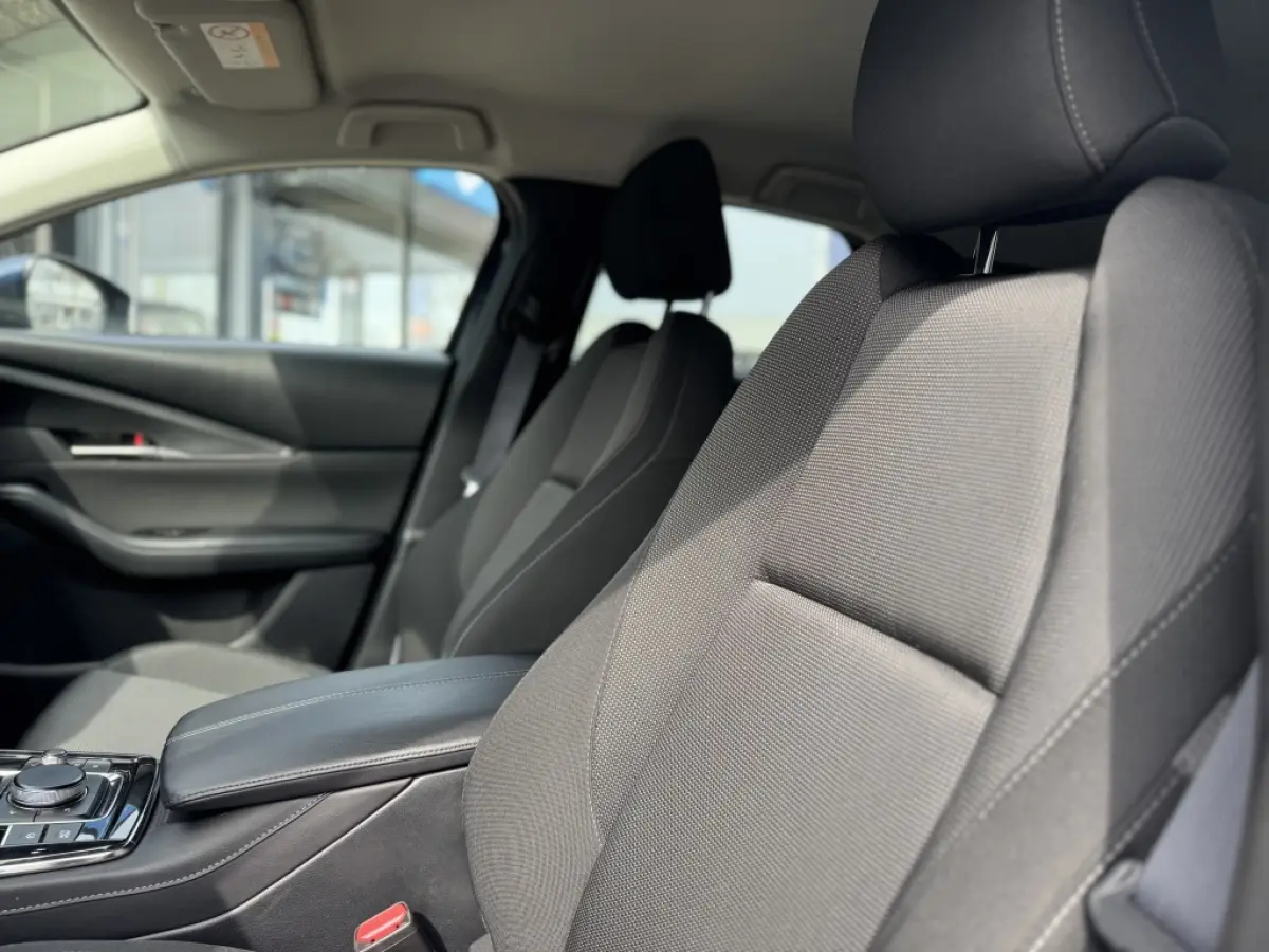2.0 eSA-G Sportive 150PK | Stoel & Stuurverw. | Camera