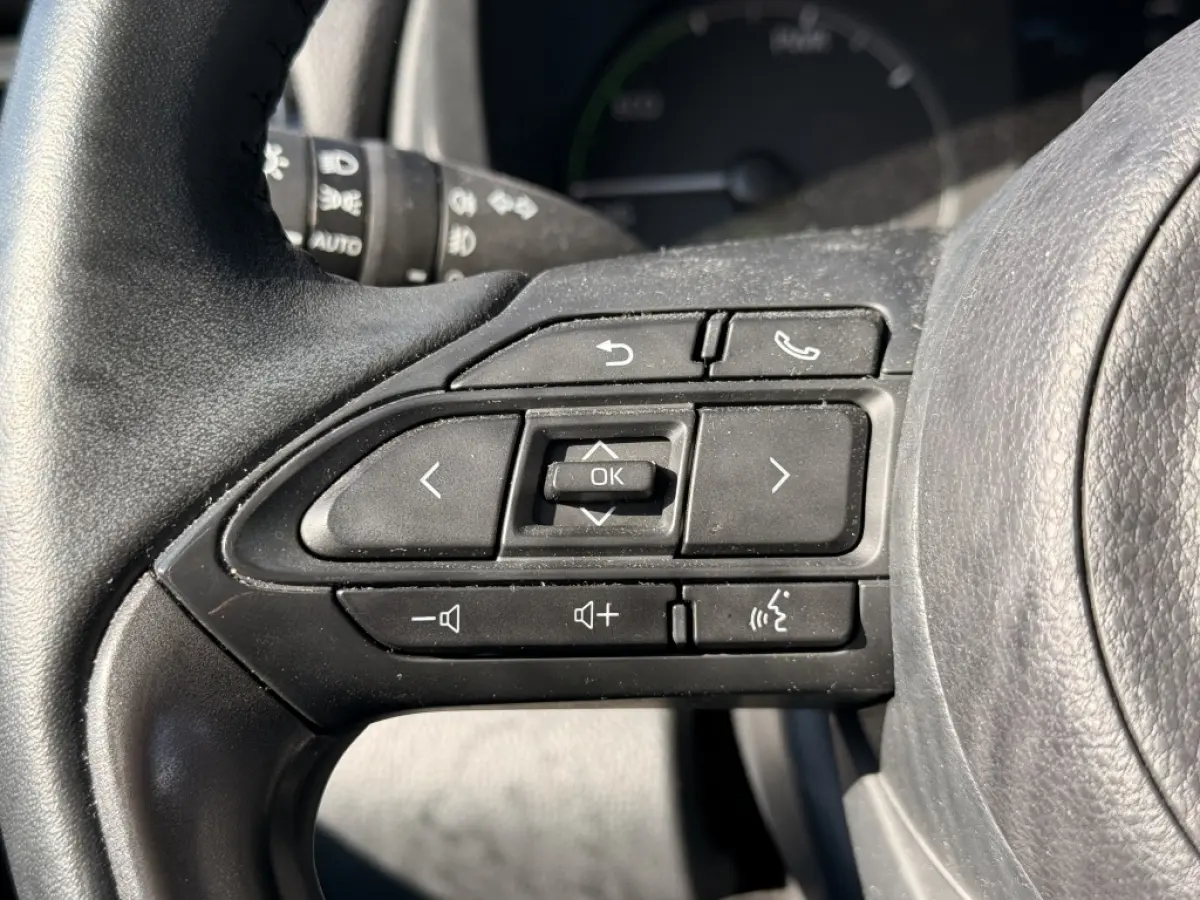1.5 Hyb. 115 Active | Climate | Camera | Carplay