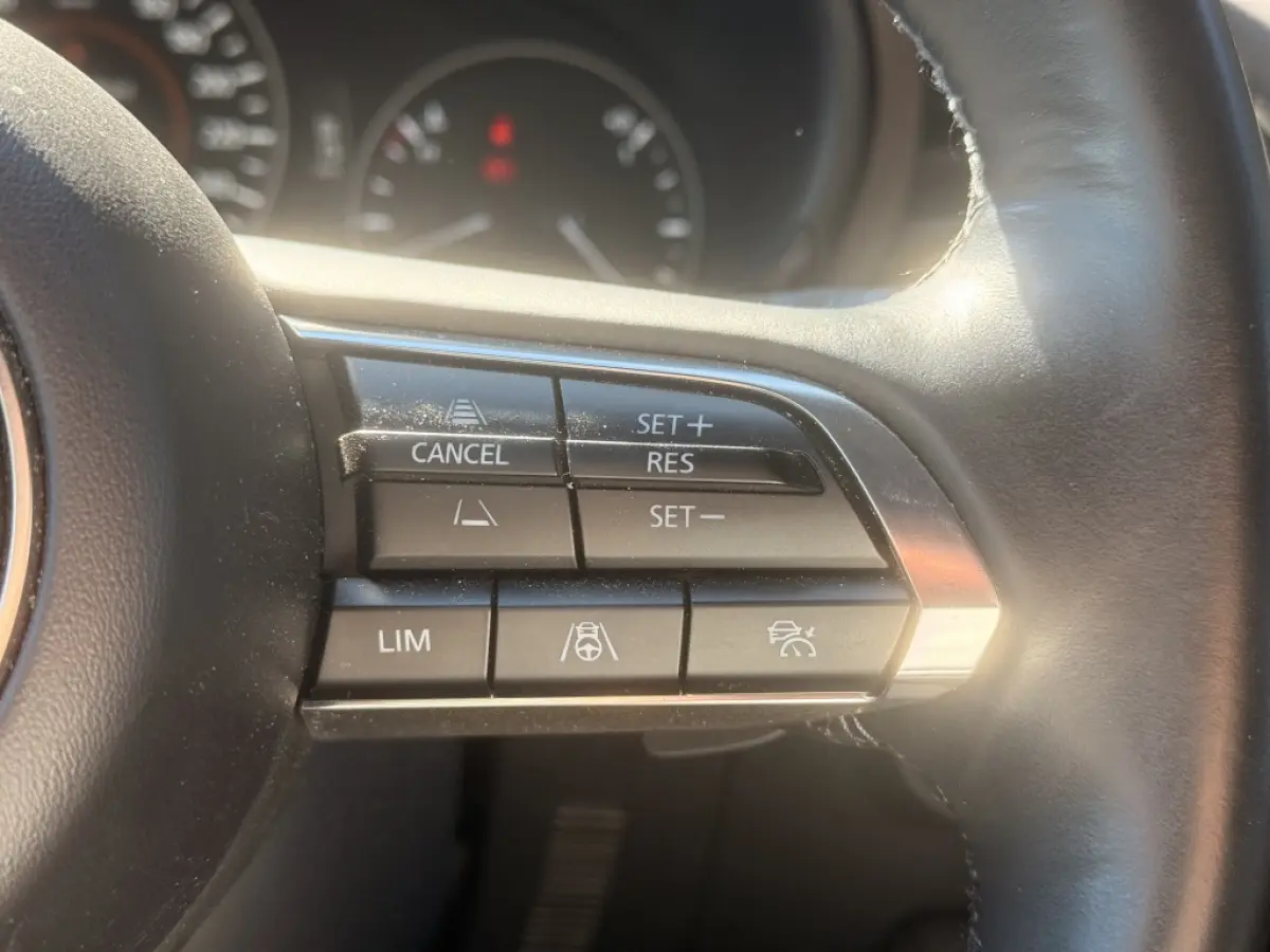 2.0 e-SkyActiv-G 120 Excl.-Line | Leer | 360 | Bose