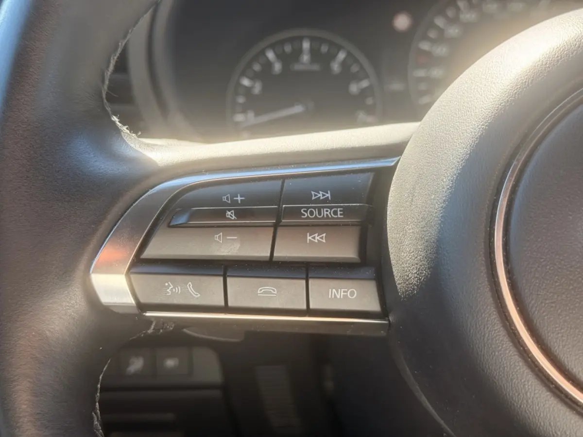 2.0 e-SkyActiv-G 120 Excl.-Line | Leer | 360 | Bose